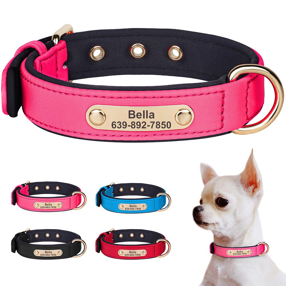 Waterproof Neoprene Dog Collar Personalized Custom Name ID Tag for Chihuahua
