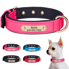 Waterproof Neoprene Dog Collar Personalized Custom Name ID Tag for Chihuahua