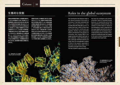 The Amazing World of Diatoms English Japanese Bilingual Photo Book 2020 - Picture 11 of 15