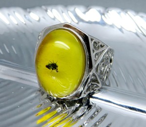 mens amber ring with insect