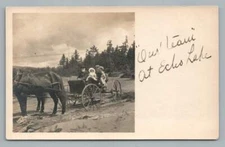"Our Team at ECHO LAKE" Antique Western? Photo RPPC Postcard 1908