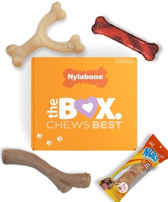 Nylabone 4Pack Strong Chew Toys & Natural Treat, Small Up to 25 lb