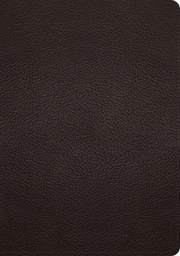 ESV Single Column Journaling Bible, Large Print - 9781433570919