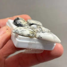 68 carat Dendrite Opal x 5 Free Form cut loose gemstone White, Black Eo-1337