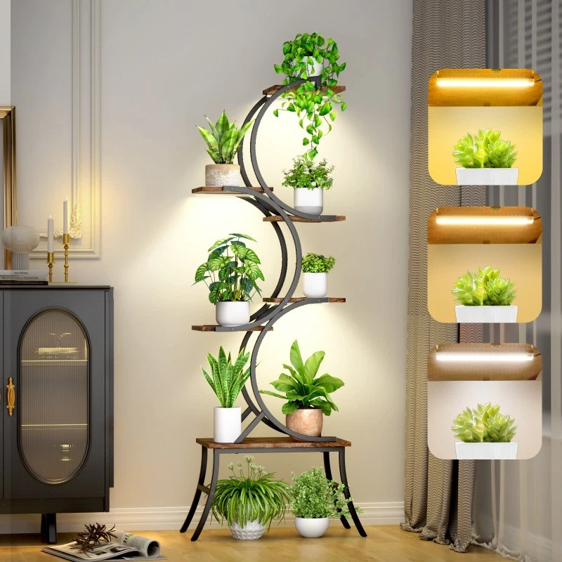 olivenbaum outdoor knorriger Olivenbaum 200 Jahre  toskanagartenshop