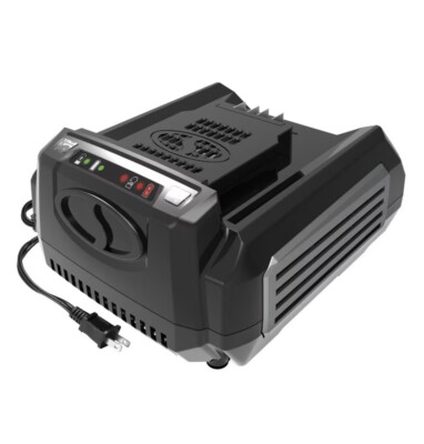 Snow Joe + Sun Joe iON100V-RCH 100-Volt Rapid Charger for iON100V Series