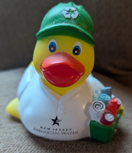 GOODVIEW RECYCLER DUCK New Jersey American Water Use Wisely 2016 3" Rubber Ducky - Picture 2 of 13