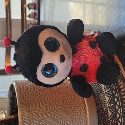 Ty Beanie Boos Izzy the Ladybug Ladybird 6