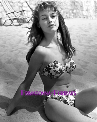 BRIGITTE BARDOT 8x10 Lab Photo SEXY BUSTY Young Beach Portrait