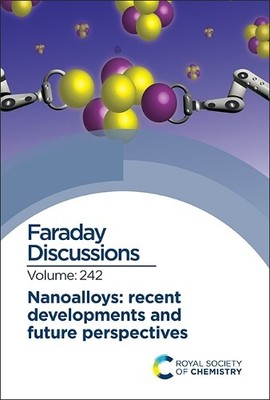 Nanoalloys: Recent Developments and Future Perspectives (Hardback)