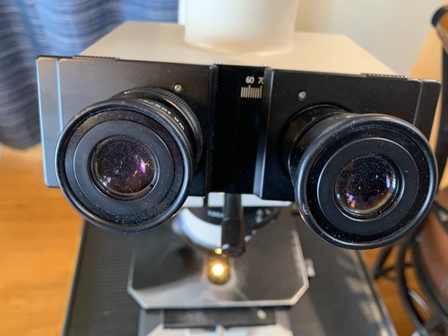 Olympus BH-2 Microscope Dual View Trinocular Photomicrography Setup WK 10X/20L - Picture 9 of 21