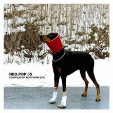 NEO.POP 05-Compiled By Northern Lite [Enhanced] [DOPPEL-CD... | CD | Zustand gut