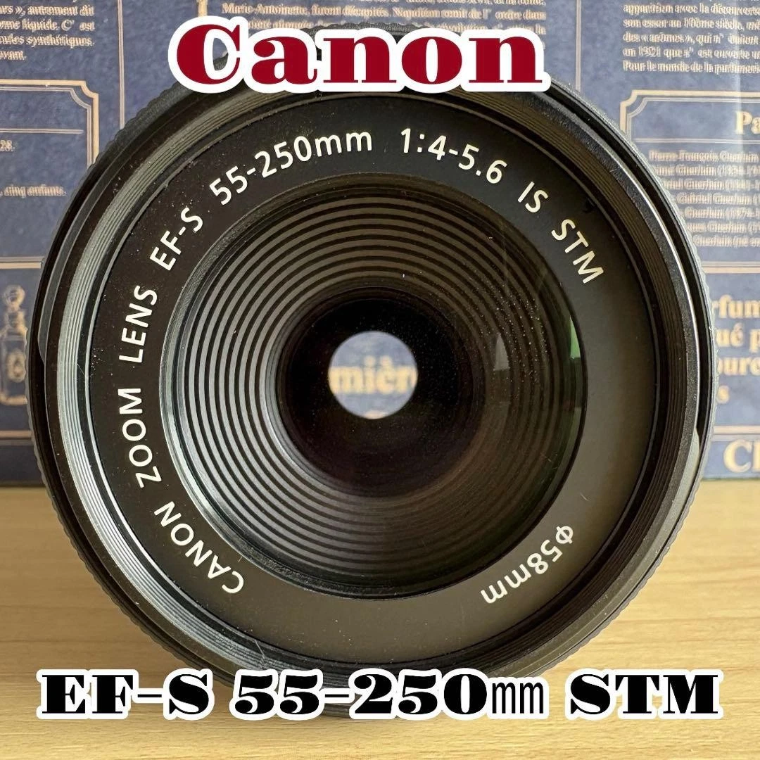Las mejores ofertas en Lentes de cámara focal Canon STM 55-250mm