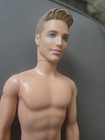 Mattel Barbie Ken Doll 12" Blue Eyes Brunette Hair 2009 Back 2012 Neck — photo 3