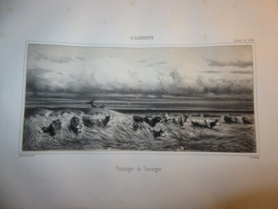 Émile LOUBON (Aix en Provence 1809-1863) Litho ORIGINAL LANDSCHAFT CAMARGUE 1845