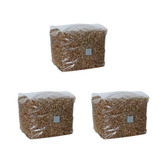 (3) Mushroom Rye Grain Spawn Bag Sterilized with Injection Port Grow Mushrooms