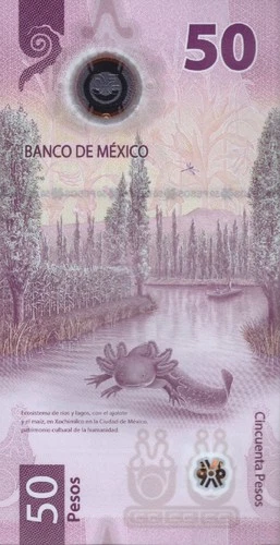 MEXICO 50 PESOS 2023 P-133 UNC