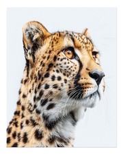 Majestic Cheetah Wall Art Poster - Wildlife Home Decor Premium Quality