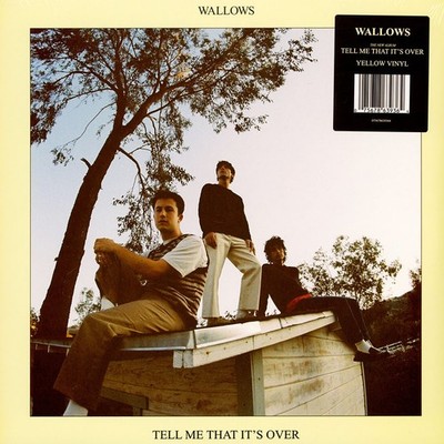 Wallows - Tell Me That It's Over (Vinyl LP - 2022 - EU - Reissue)