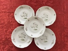 Ensemble de 5 assiettes plates