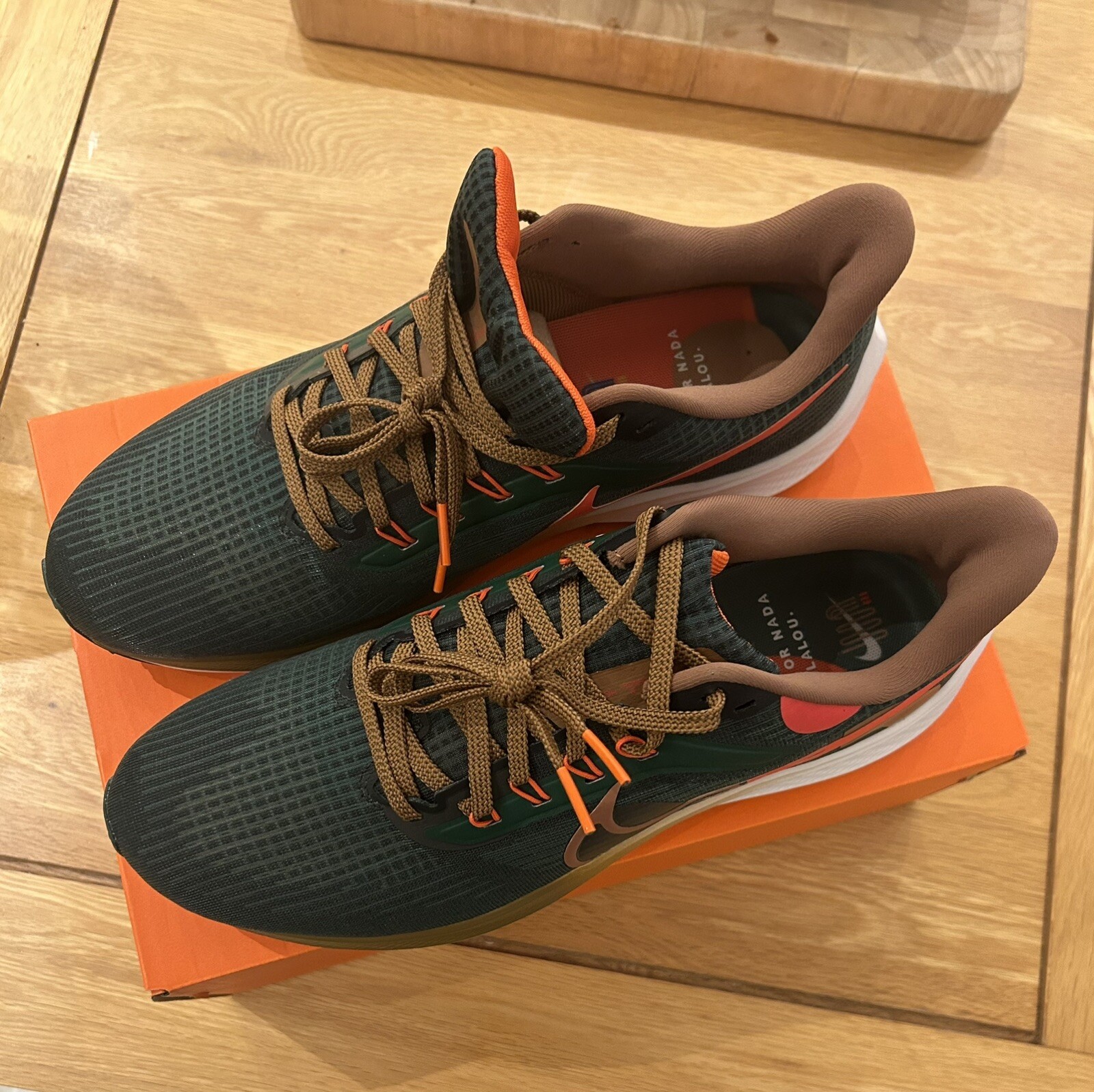 Nike Air Pegasus 39 Hola Lou - New - Just Do It image 2
