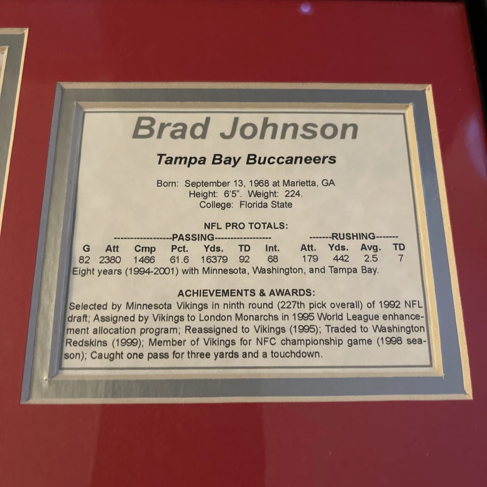 Fotos y estadísticas de Brad Johnson NFL de 11x14 enmarcadas de la colección 2001 Foto 4 de 4