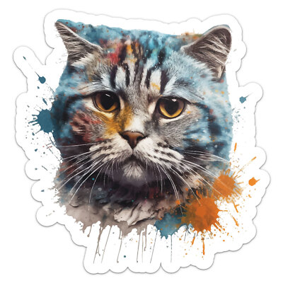 Colorful Scottish Fold Cat Sticker Vinyl Car Bumper Decal