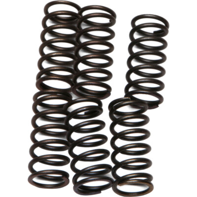 EBC  Clutch Springs Csk38 Kawasaki Zx600 Ninja Zx-6r 2007-2008 Zrx1200  CSK38