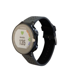 The forerunner english edition