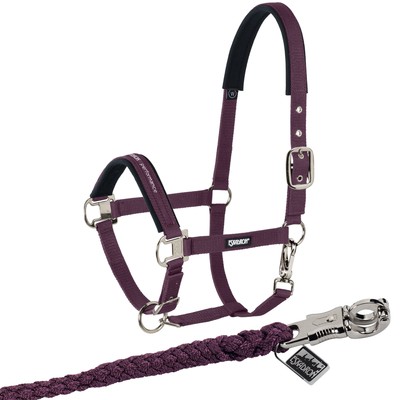 Eskadron Set Halfter Pin Buckle mit Panikhakenstrick in blackberry