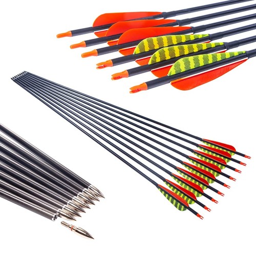 Traditional Archery 300 340 400 500 600 Spine Carbon Feather Arrows for Recur...