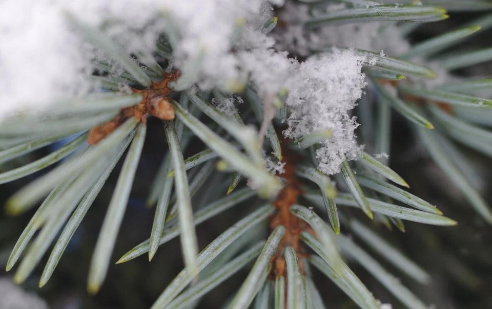 Vintage Soviet Macro Lens for Canon - MC Volna-9 f/2.8 50mm with M42 Mount - Image 2 of 4
