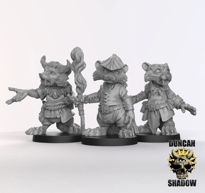 Waschbär-Volksdrud, Waschbär-Volk Samaria, Waschbär-Volksmagier, Waschbär Druide, Waschbär