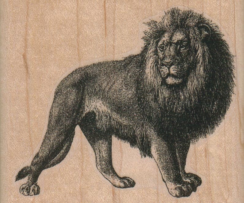 Lionページ Lion Side View 2 3/4 x 2 1/4