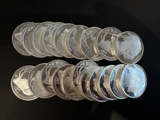 Liberty testa di bufalo indiano 2011 argento 1 oncia troy .999 argento fine tubo da 20