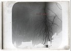 1900-1910s Lightning Strike Over Silhouetted House Chimneys Glass Photo Negative — photo 3
