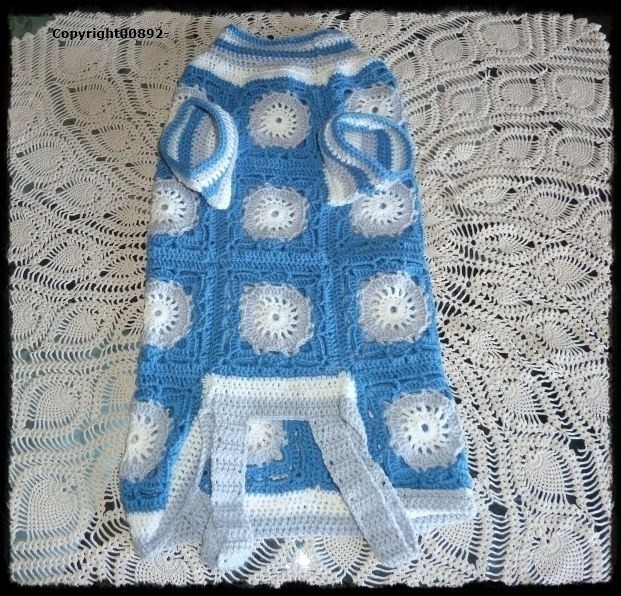 Maglia Cane Maschio Uncinetto - Calore Artigianale per il tuo Pet - 1