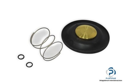 BURKERT SET3 5281 WEARING PART SET_00624021_DN32/40 NBR_ high-quality
