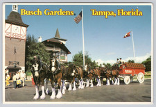 Busch Gardens Tampa FL Florida Anheuser Busch...