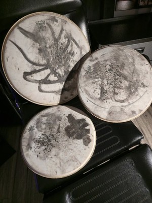 Slipknot Drum Heads From 2001 Ozzfest