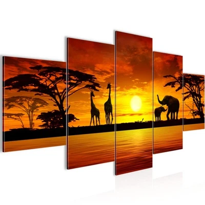 Wandbilder Wohnzimmer XXL Afrika Moderne Bilder 200 x 100 cm - Bild 1 von 4