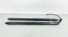 2016-2023 Tesla Model X Rear Tailgate Support Shock Lift Trunk Lid Strut SET OEM