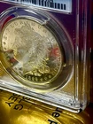 1899 O    MORGAN DOLLAR PCGS MS 63 10 1NCH DEEP REFLECTION AND NOT GRADED PL