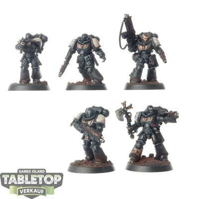 Black Templars - 5x Intercessor Squad - bemalt