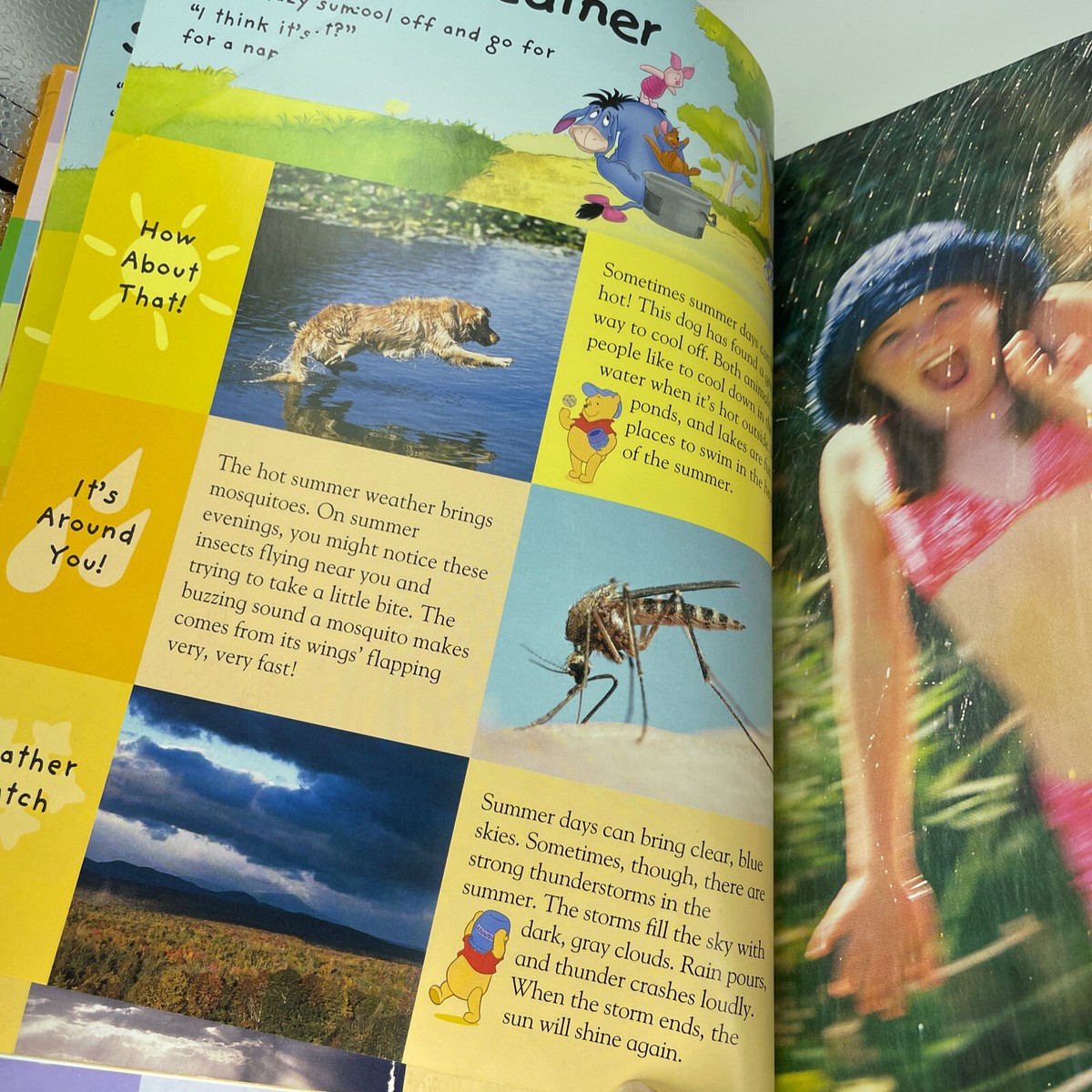 絵本+児童書 Disney - MyVery First Encyclopedia Nature Disney My Very First Encyclopedia with Winnie the Pooh and Friends