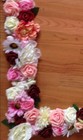 Bild 5 von 7