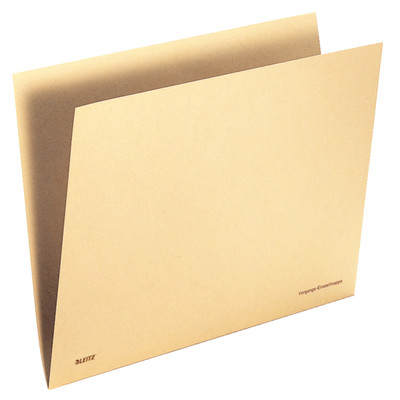 100x ESSELTE-LEITZ Einstellmappe 2443-00-11 Tauenpapier 100g chamois Orgacolor 