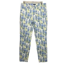 Talbots Slim Ankle Jean in Watercolor Vases Print Blue Green Stretch Denim Sz 8