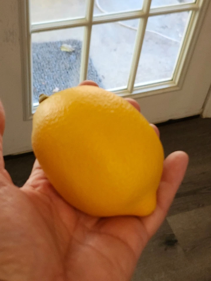 6 limones grandes de imitación ~ 4” L X 2,5” W ~ Love 🍋 Estos ~ Amarillo soleado brillante, decoración grande Foto 4 de 4