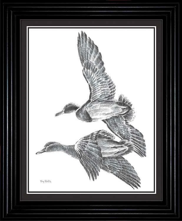 WILDLIFE PRINTS Terry Redlin Mallard Duck Pencil Sketch Framed - 11.5"x9.5"